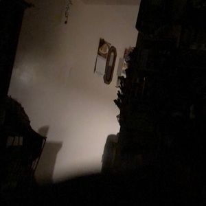 Meet your Posher, Bibi